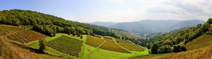 quincie en beaujolais